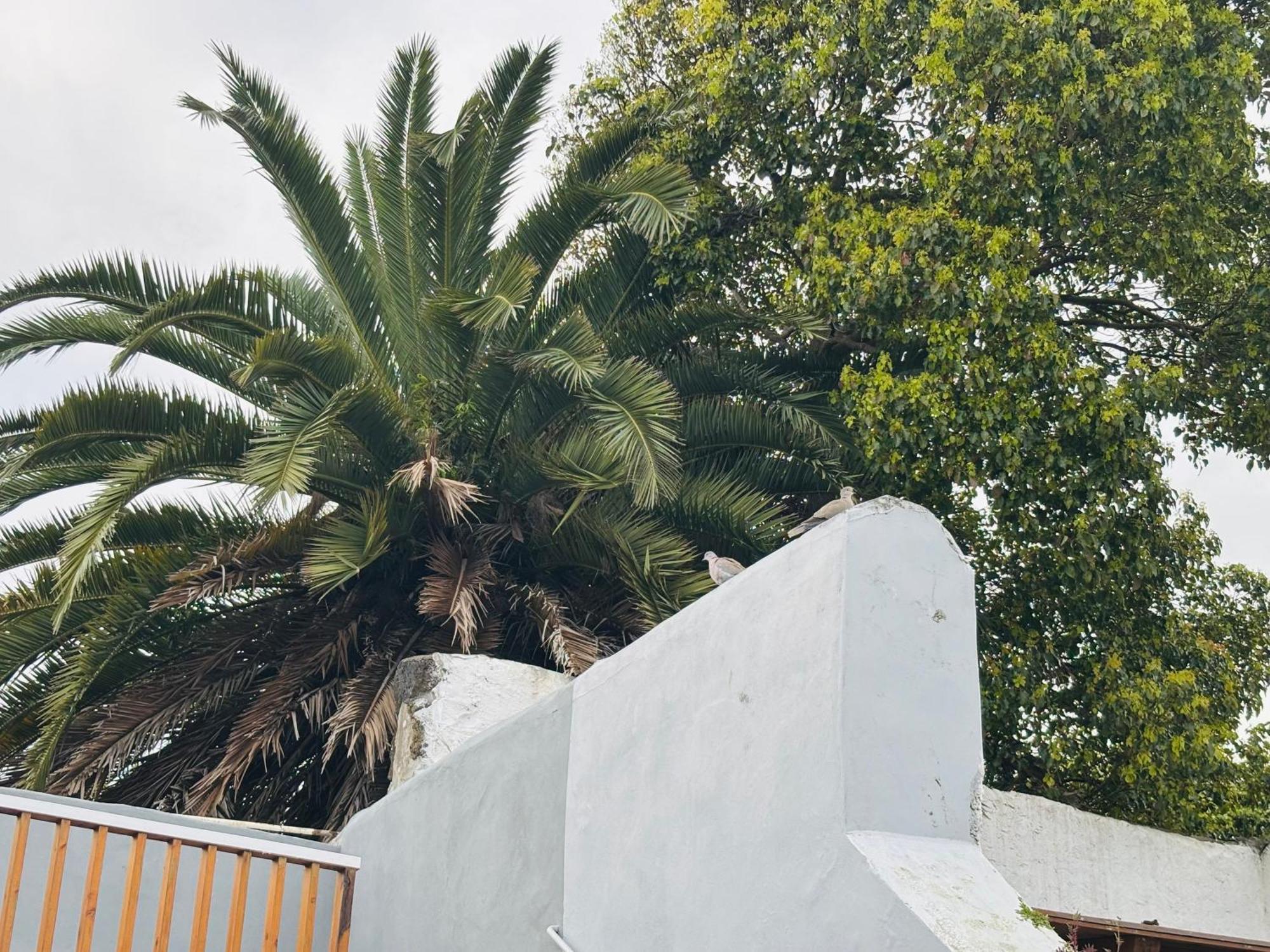 Casa Jose Do Canto Holiday home Ponta Delgada (Sao Miguel)